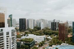 Klimt Cairnhill (D9), Apartment #495635641